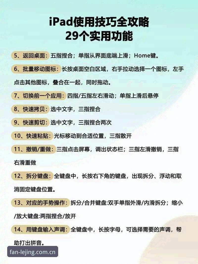 乐竞体育平台使用指南：从下载到深度体验的完整攻略
